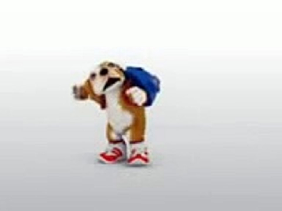 The dog Chacarron
