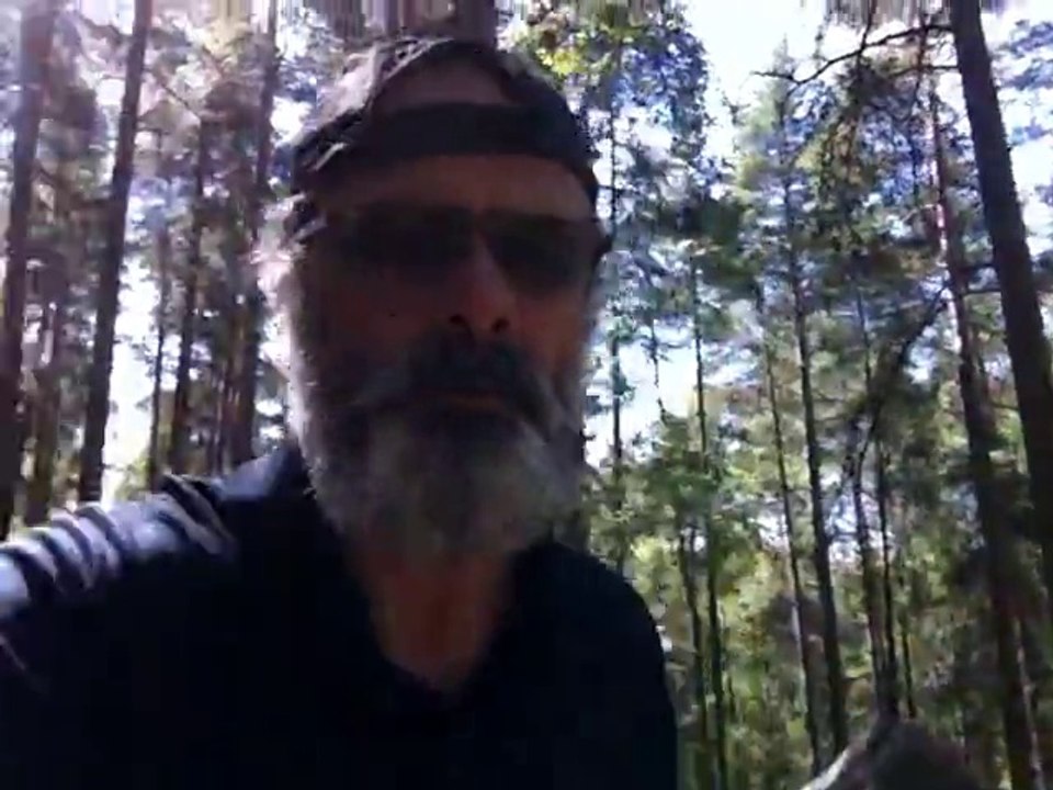 Aug 3 2015 1