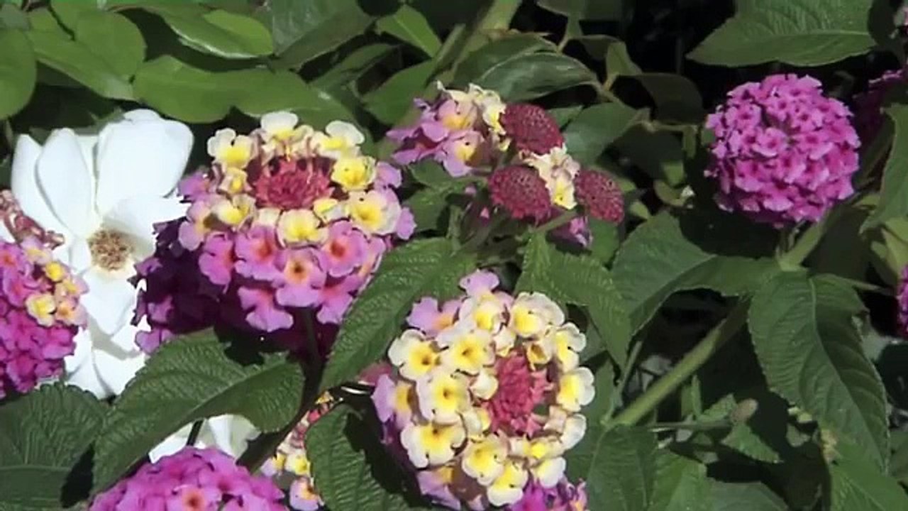 World Class - Italy - luxury travel in Venice, Portofino and the Amalfi Coast