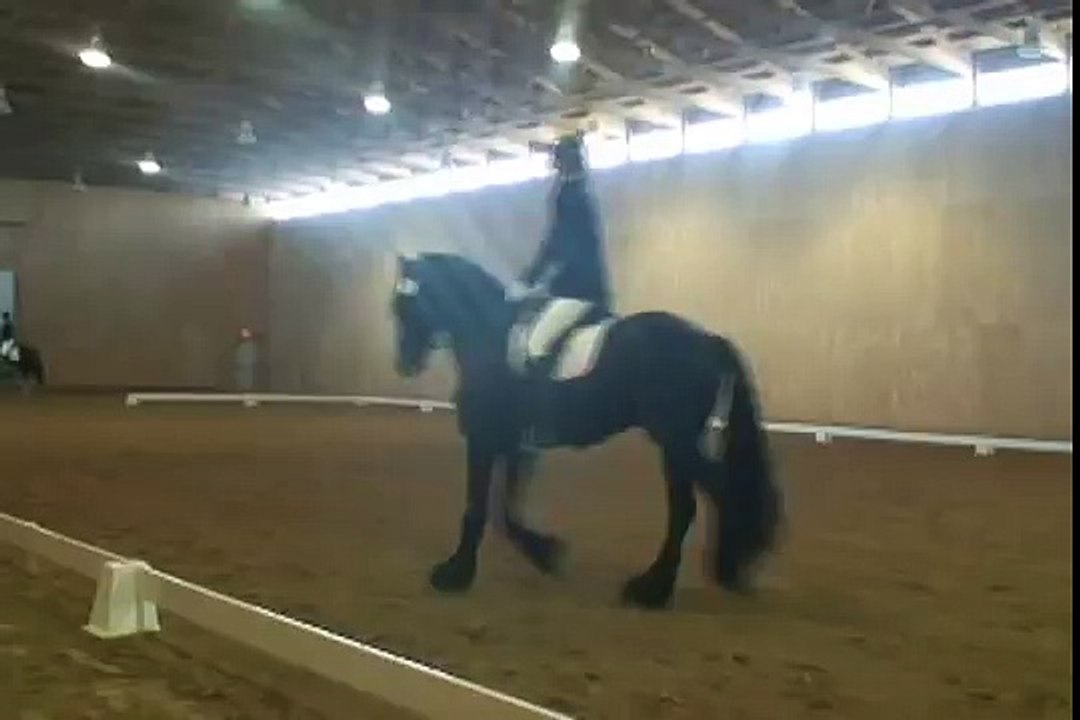 Hendrik Friesian Stallion Dressage Show Silver Spur 2008