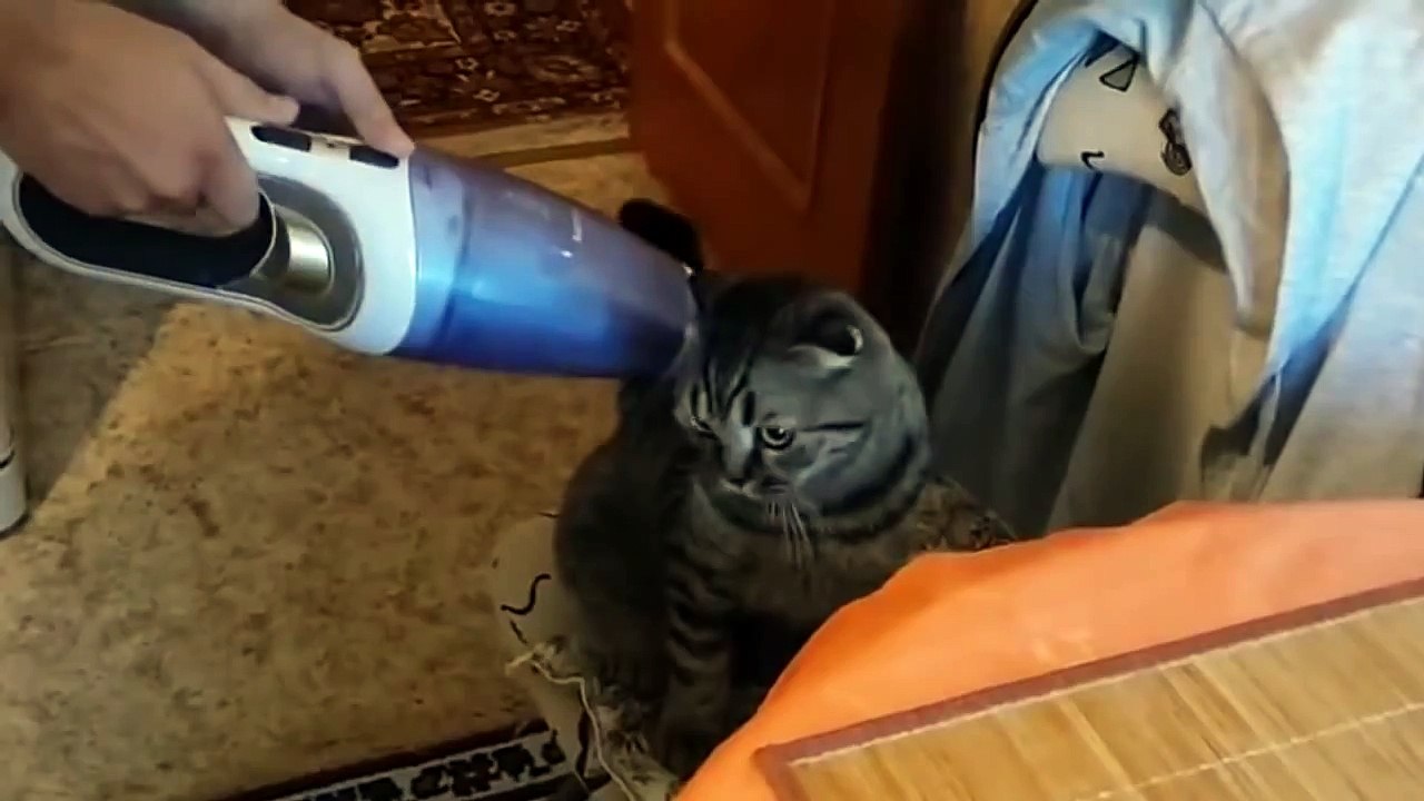 How does he do it!