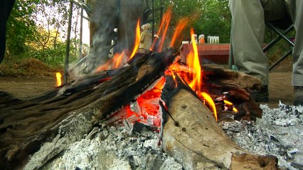 5 Reasons to go Camping