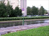 Po audros Klaipėdoje - In the Klaipeda city after the storm
