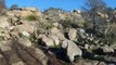 Kent Rylander - Enchanted Rock Canyon Wren Song