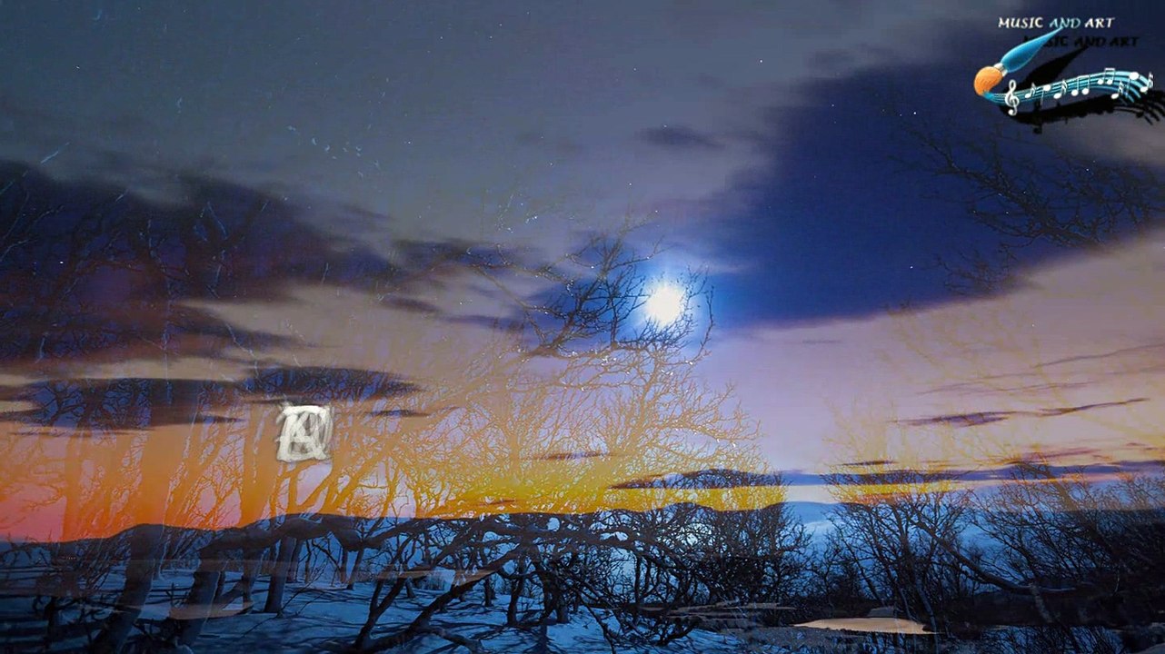 THE POLAR NIGHT