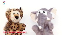 Jack and Jill - Funny Tiger & Elephant puppets Songs Learning English Kids