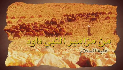 قصص الانبياء مزامير داوود - مشاهد من الكتب السماوية