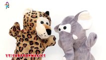 Johny Johny Yes Papa - Funny Tiger & Elephant puppets children rhymes