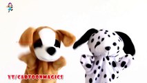 Johny Johny Yes Papa - Funny  Puppy Dog & Cute Dog puppets children rhymes