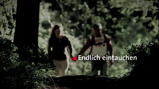 Schwarzwald / Black Forest - Black Forest Region, Germany - GER