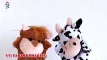 Johny Johny Yes Papa - Funny Hippopotamus - Cattle cow puppets children rhymes Learning English Kids Songs