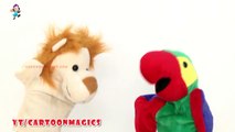 Johny Johny Yes Papa - Funny Lion and Parrot puppets children rhymes Learning English Kids Songs