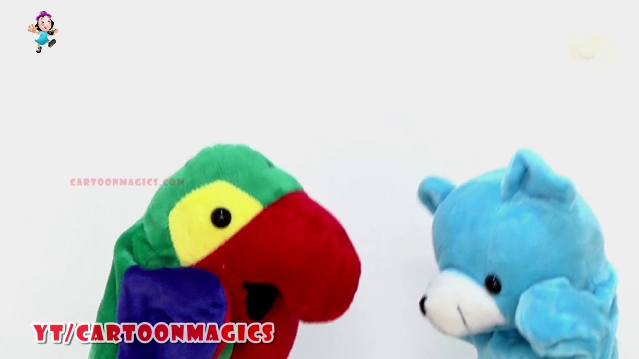 Row Row Row Your Boat - Funny Parrot and Panda puppets children rhymes