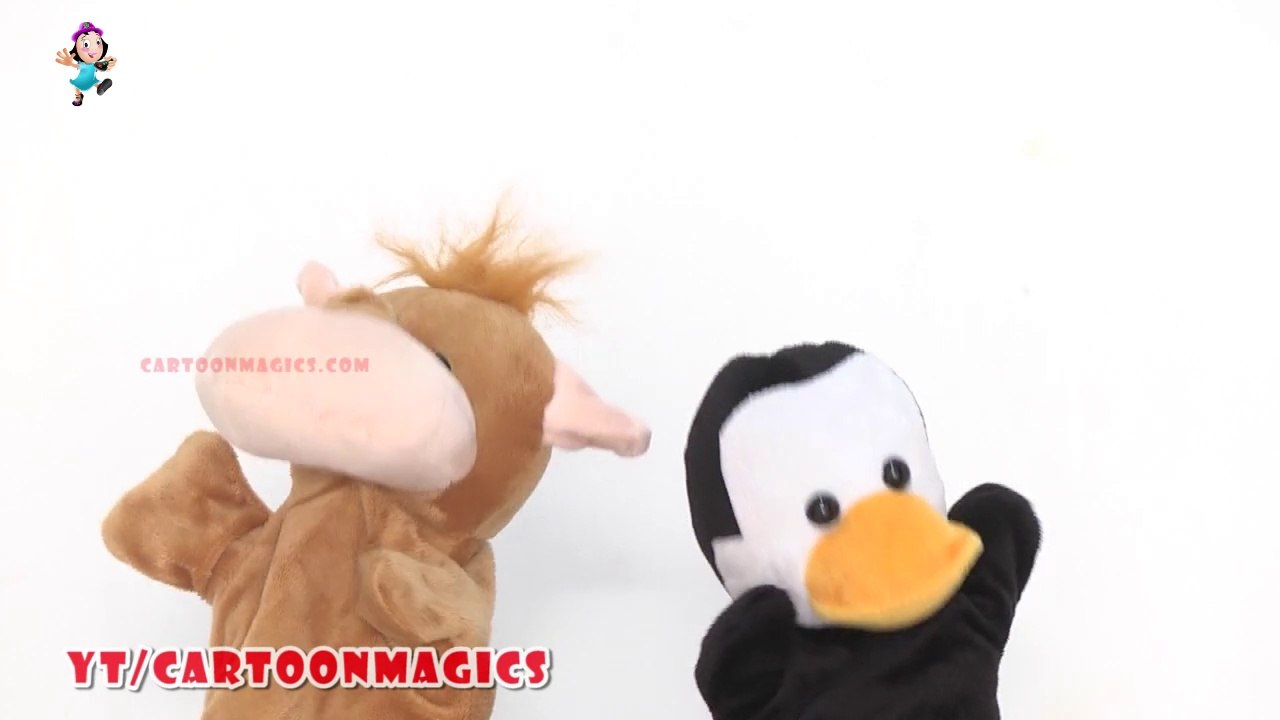 Learn to count from 1 to 10 - Funny  Hippopotamus and Penguin puppets children rhymes