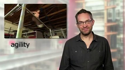 Learning English_ Video Words in the News_ Parkour is here to stay-copypasteads.com