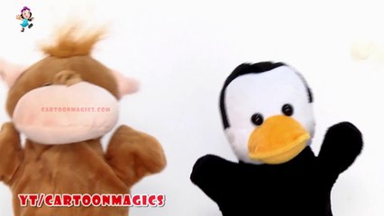 Row Row Row Your Boat - Funny  Hippopotamus and Penguin puppets children rhymes Learning English Kids Songs