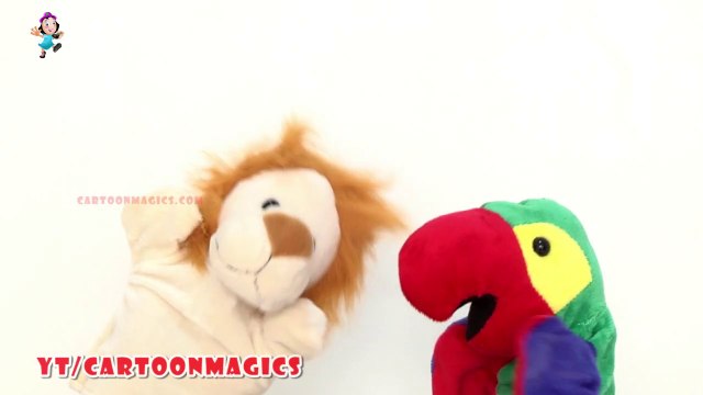 The Wheels on the bus go round and round song - Funny Lion and Parrot puppets children children rhymes Kids rhymes