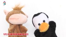 Twinkle Twinkle Little Star - Funny  Hippopotamus and Penguin puppets children rhymes Learning English Kids Songs