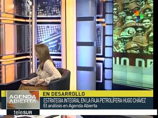 Paravisini: desarrollo en Orinoco reforzará industria petrolera