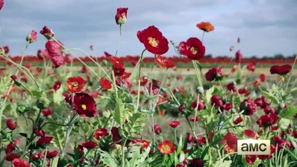 В пустыне смерти Into the Badlands, 2015  Трейлер с Comic-Con (сезон 1; русский язык)