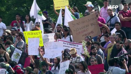 Mexico journalists protest over slaying of photographer