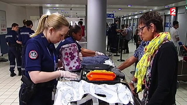 Douanes : attention aux souvenirs de vacances que vous voulez rapporter