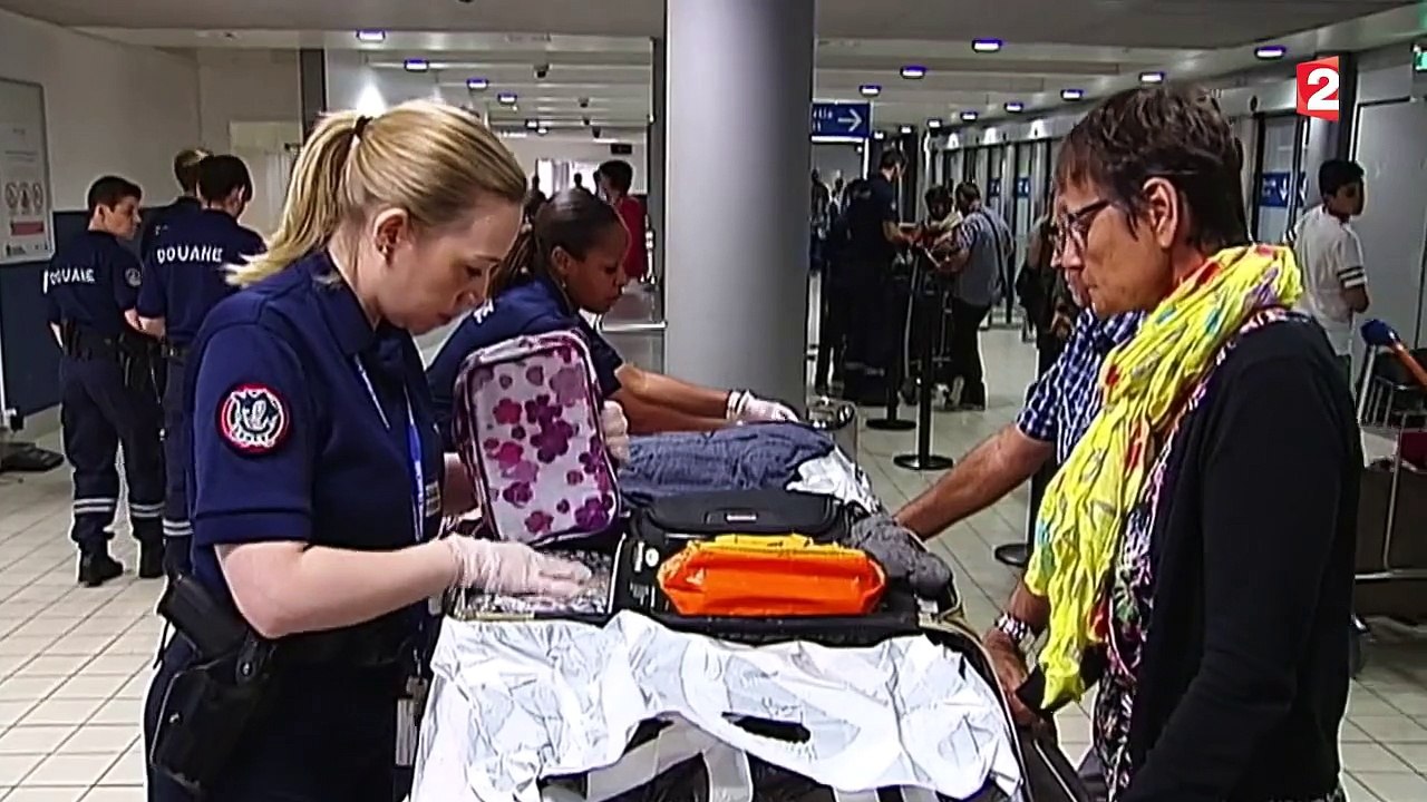 Douanes : attention aux souvenirs de vacances que vous voulez rapporter