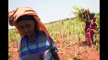 Tackling Ethiopia's Water Poverty