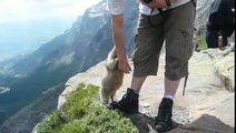 Un moment extraordinaire avec une marmotte au Salvagny village vacances Cap France