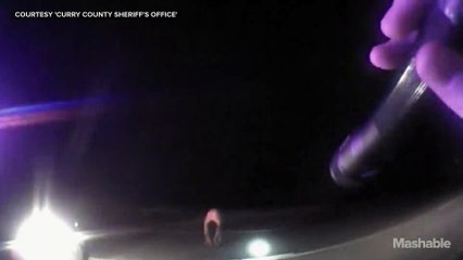Naked man steals cop car, police catch it all on video
