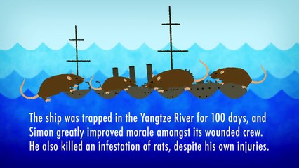 5 Famous Cats Before the Internet Even Existed