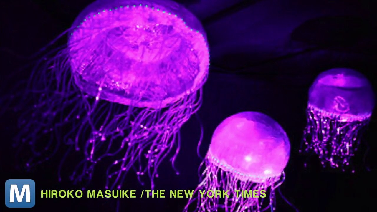 New Ice Cream Flavor Glows in the Dark