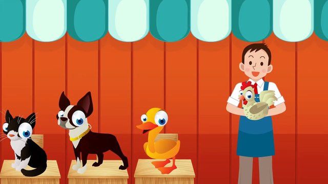 PIOSENKA- Zwierzęta na Farmie Wystawa - Baw się z nami