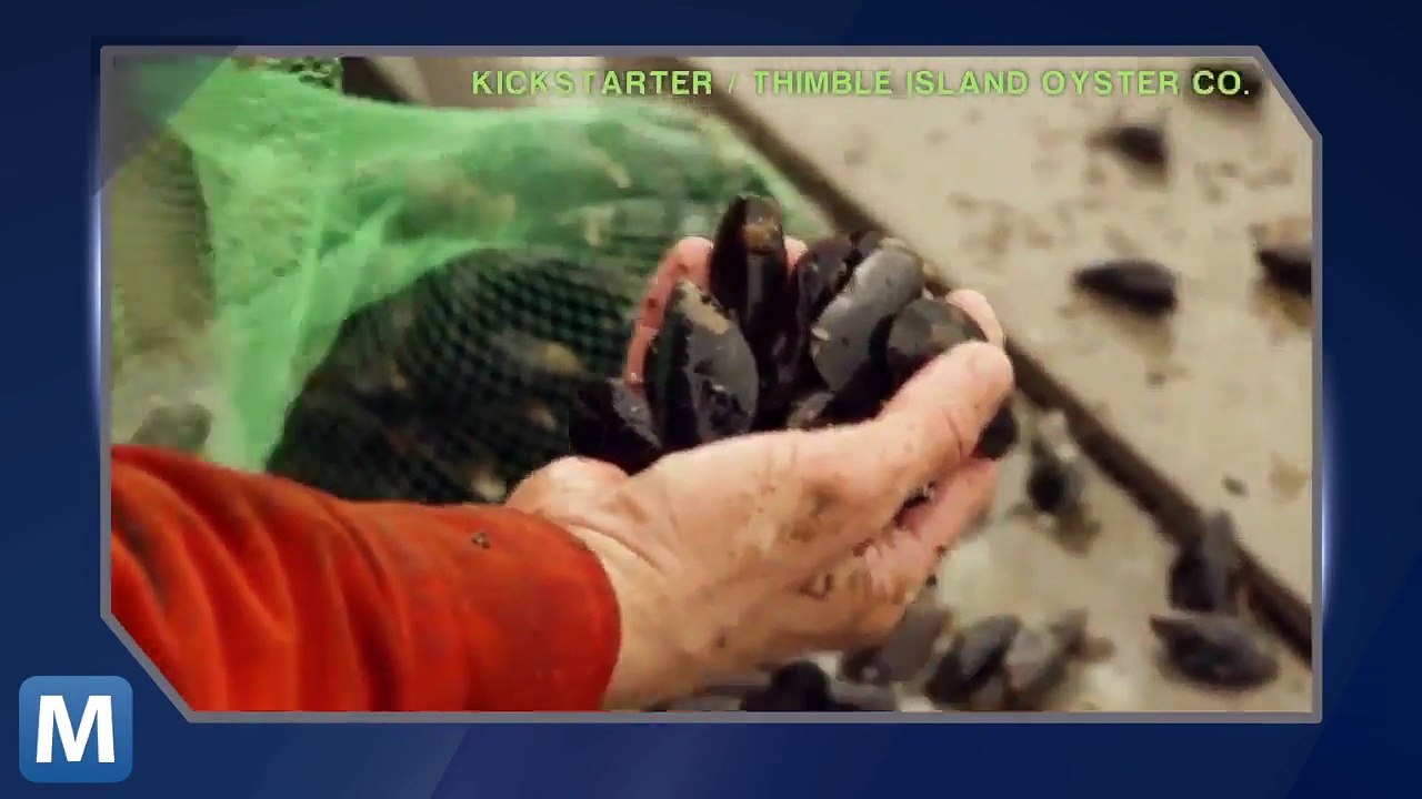 Former Fisherman Builds Ocean Farm to Grow Food...