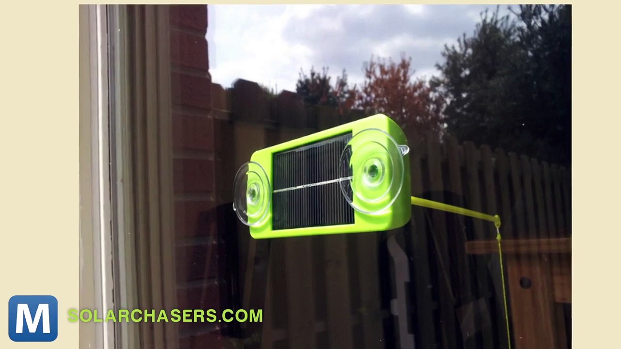 Let the sun Help Entertain Your cat