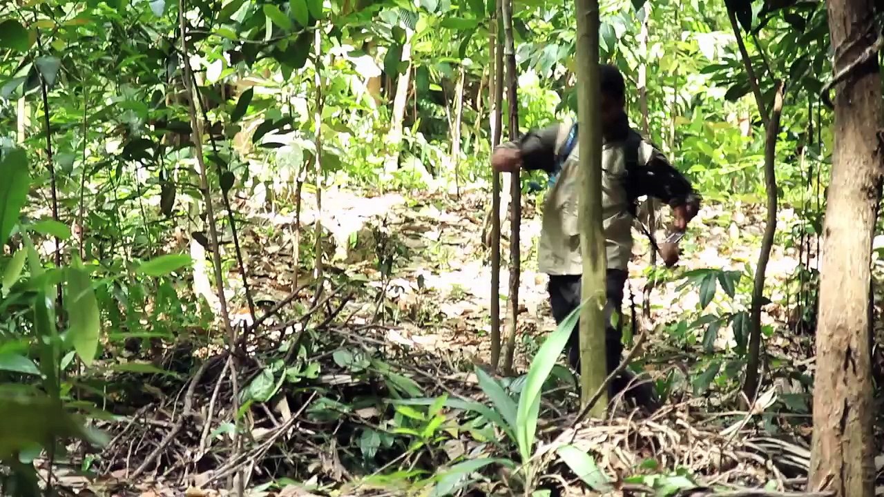 Man vs. Bush - Play It Safe with Tiger Tilani, by Ministry of Funny
