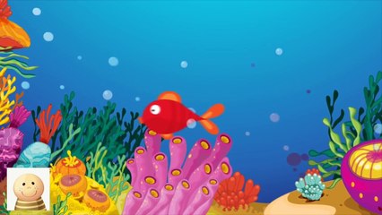 Zaśpiewaj Własną Piosenkę o Rybach i Rybaku i Podwodnym Świecie- Baw się z nami