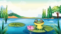 Zaśpiewaj Piosenkę o Żabce - Baw się z nami