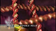 DNA Double Helix Structure