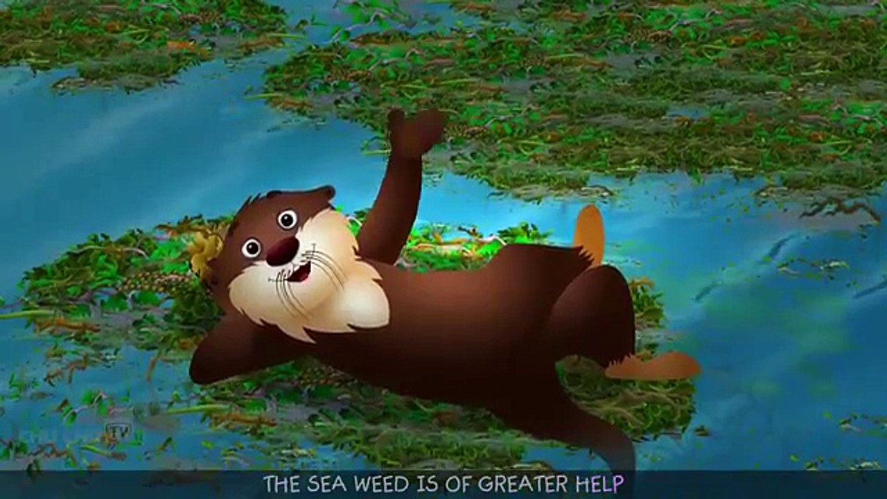 Sea Otter Song | ChuChuTV Sea World | Animal Songs For Children