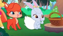 Cake-tillion | Whisker Haven Tales with the Palace Pets | Disney Junior |cartoon epidsode and more