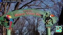 Giraffe kicks woman: Amanda Hall climbed over fence at Henry Vilas Zoo in Madison