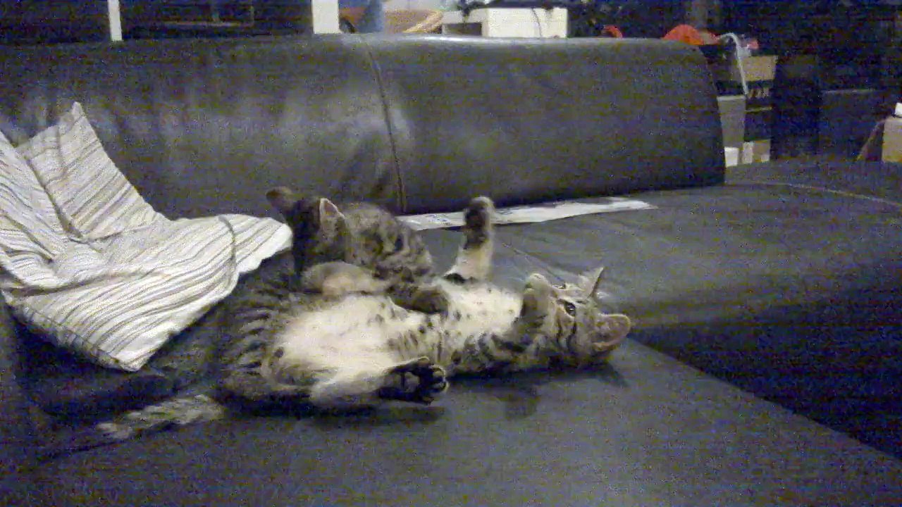 ficelle et belzebuth