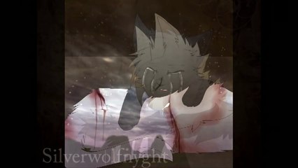 Warrior Cats AMV: Slipped Away :FeathertailxCrowfeather: