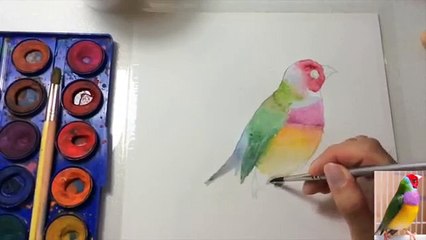 【Olivia生活家】水彩画教程（2）/watercolour painting tutorial (2)
