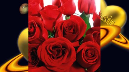 Michael Bolton's Powerful Cover of 'All for Love' 🎶