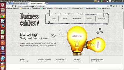 business catalyst developers