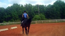 Bending at the trot.  Amazing technique that you are going to love!  S4  Riding instruction