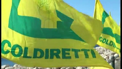 Villaricca (NA) - Prosciutti taroccati: erano polacchi ma venduti come italiani (28.06.15)