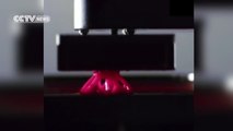 3D printer ‘Grows’ objects from liquid